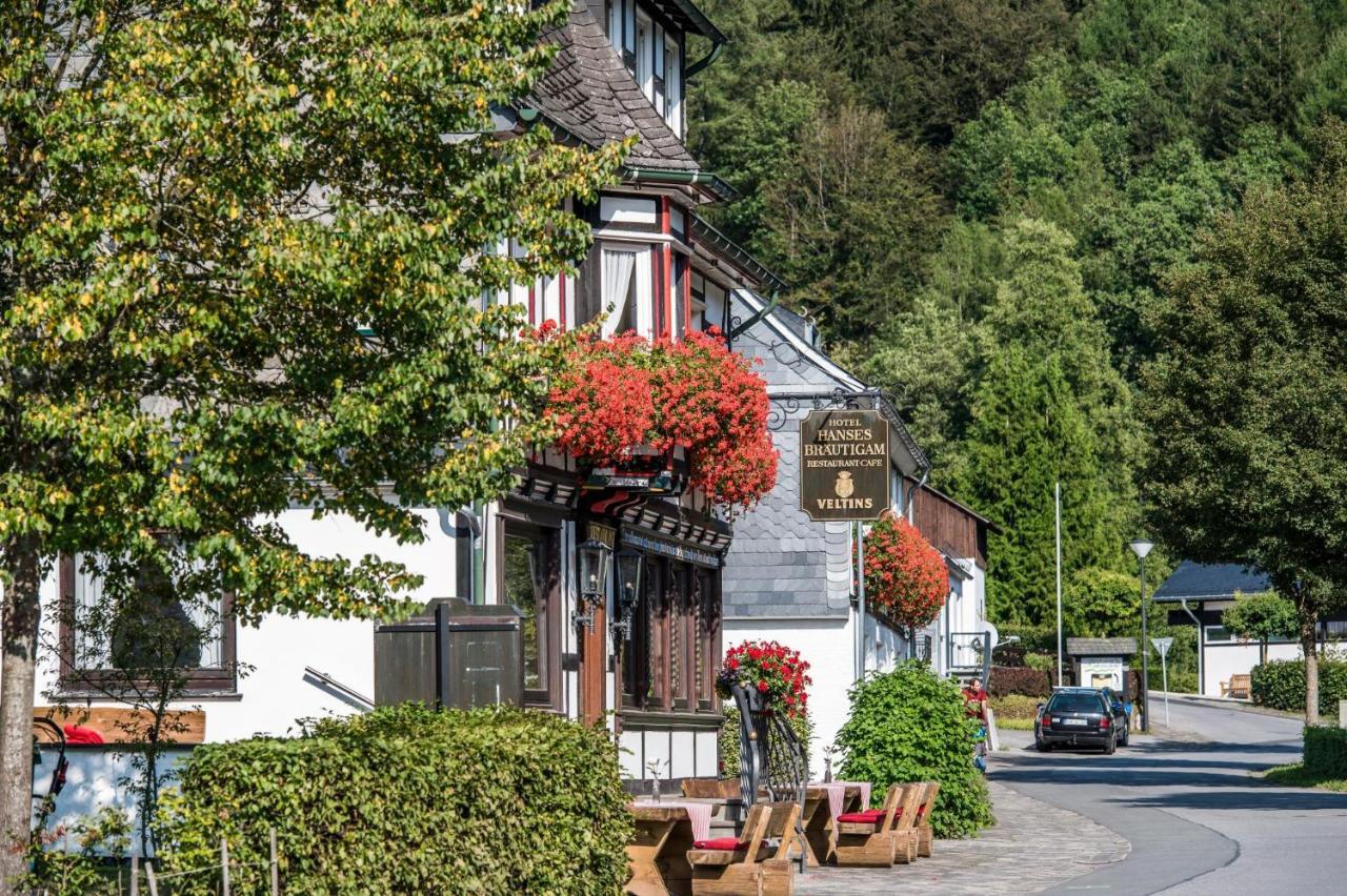 Hotel Hanses-Braeutigam Schmallenberg Extérieur photo